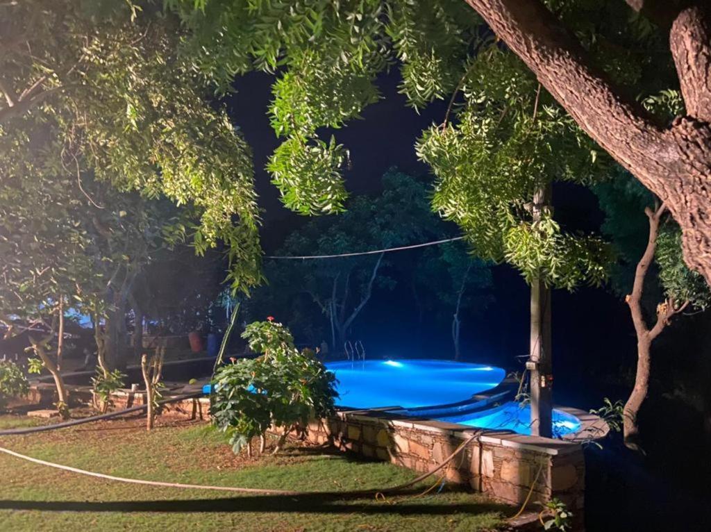 Amaltas Vila Udaipur Exterior foto